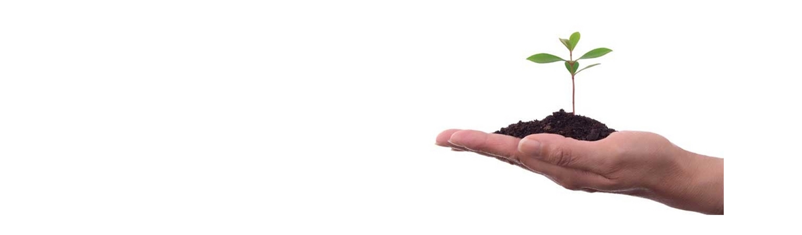 Slide background